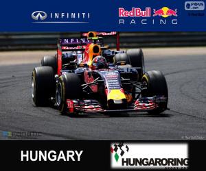 Puzzle Ντανιίλ Κβίατ 2015 Ουγγρικά Grand Prix